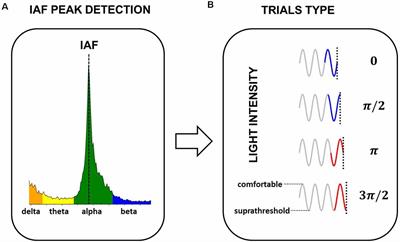 Persistence of EEG Alpha Entrainment Depends on Stimulus Phase at Offset